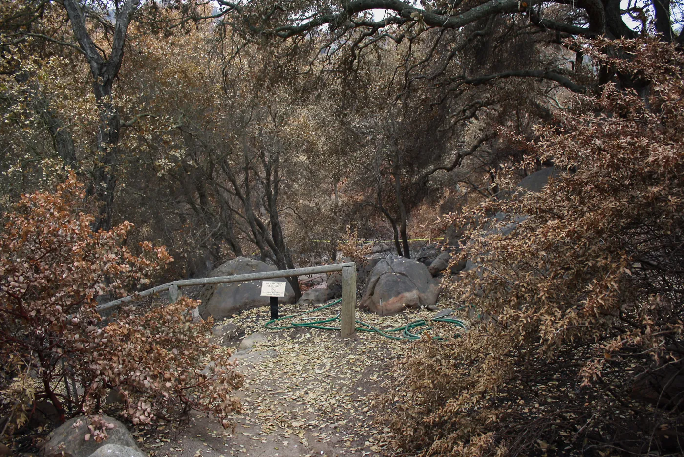 View towards picnic area after Jesusita Fire