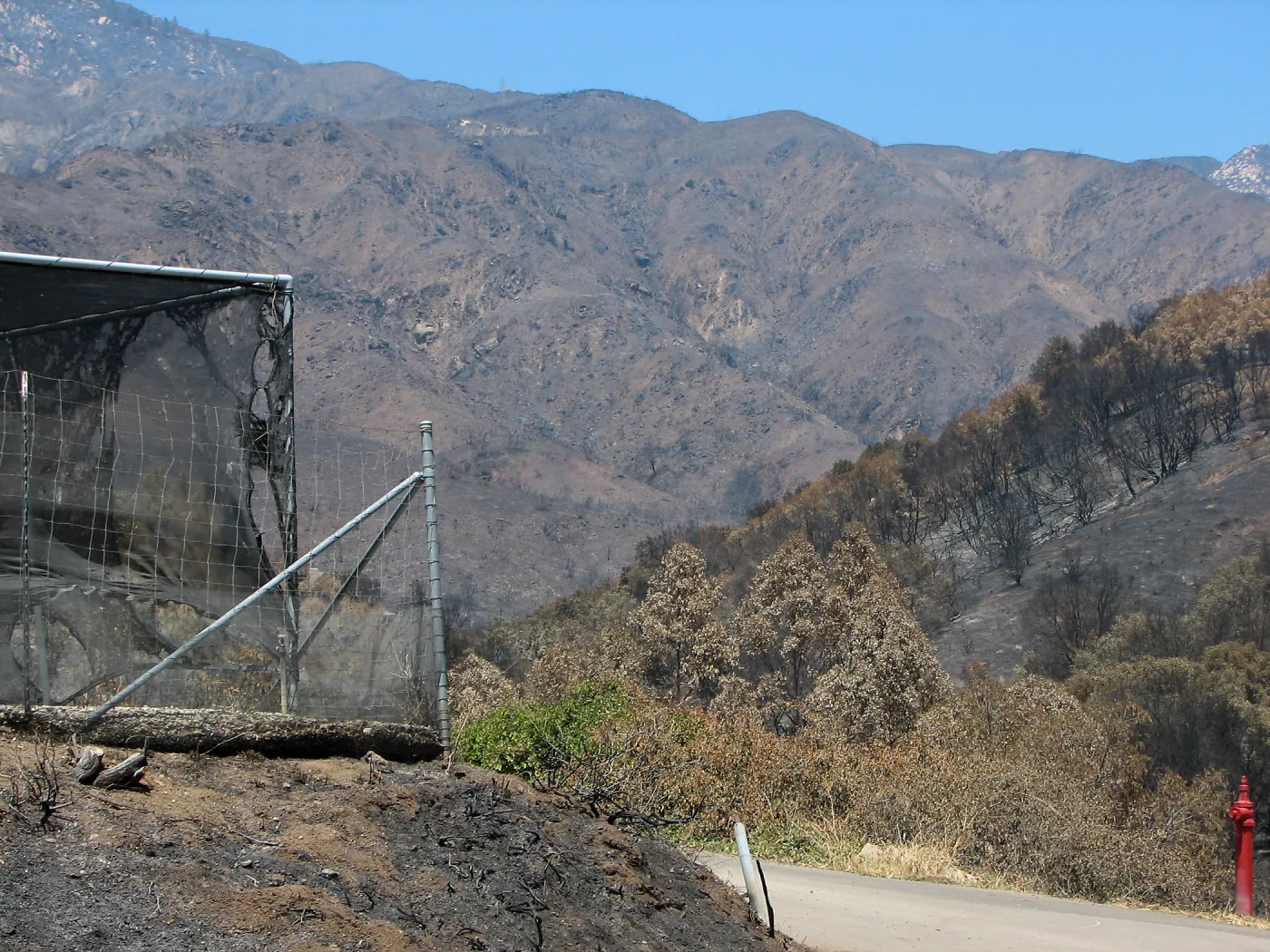 Southeast corner of Garden Growers Canyard and scorched mountanside to the northeast after Jesusita Fire