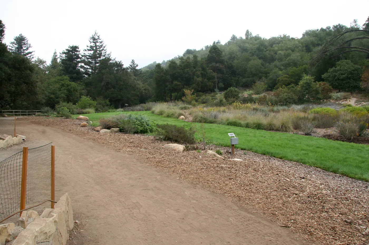Meadow looking northeast from Meadow Terrace