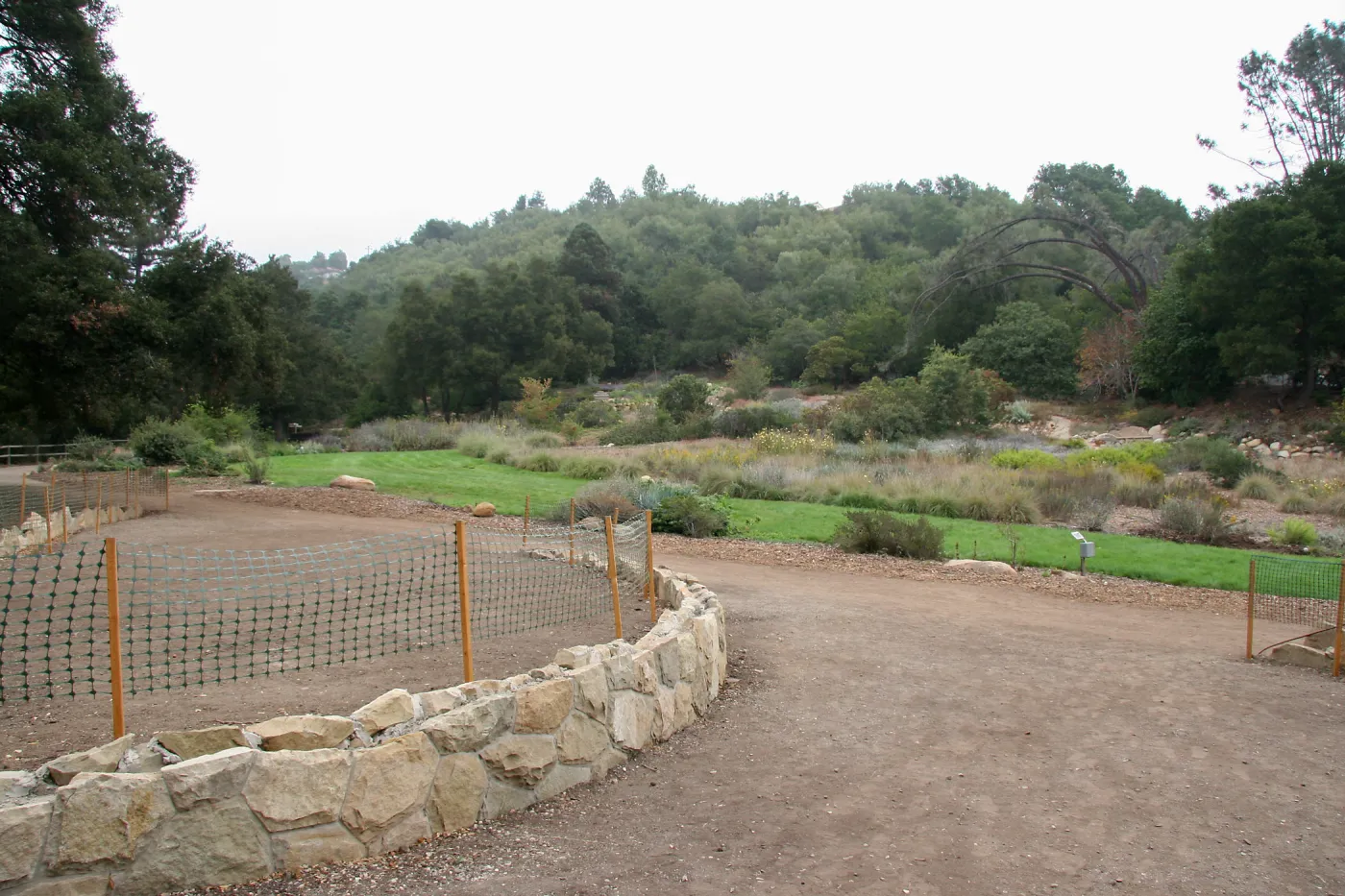 Meadow looking northeast from Meadow Terrace