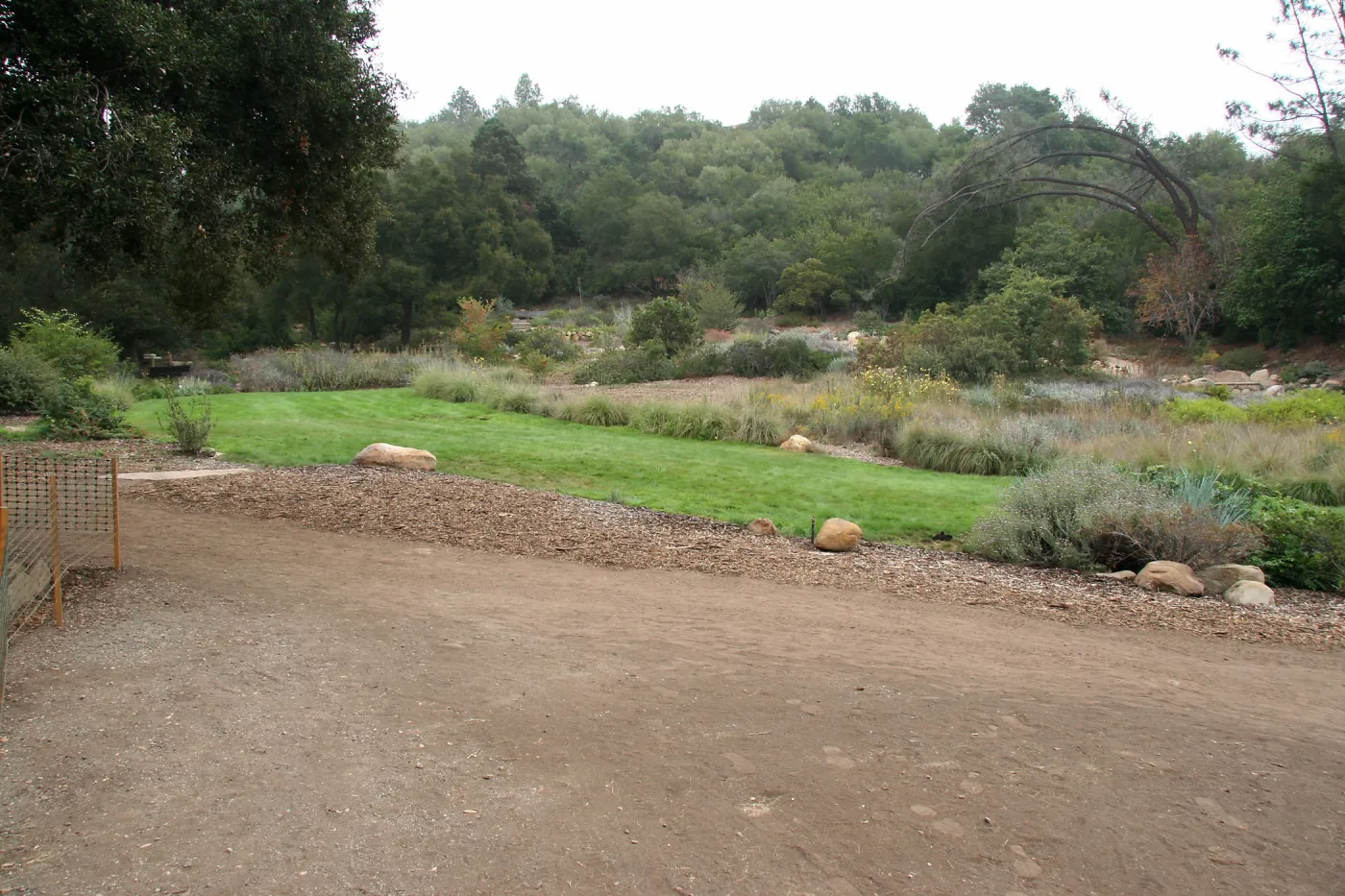 Meadow looking northeast from Meadow Terrace