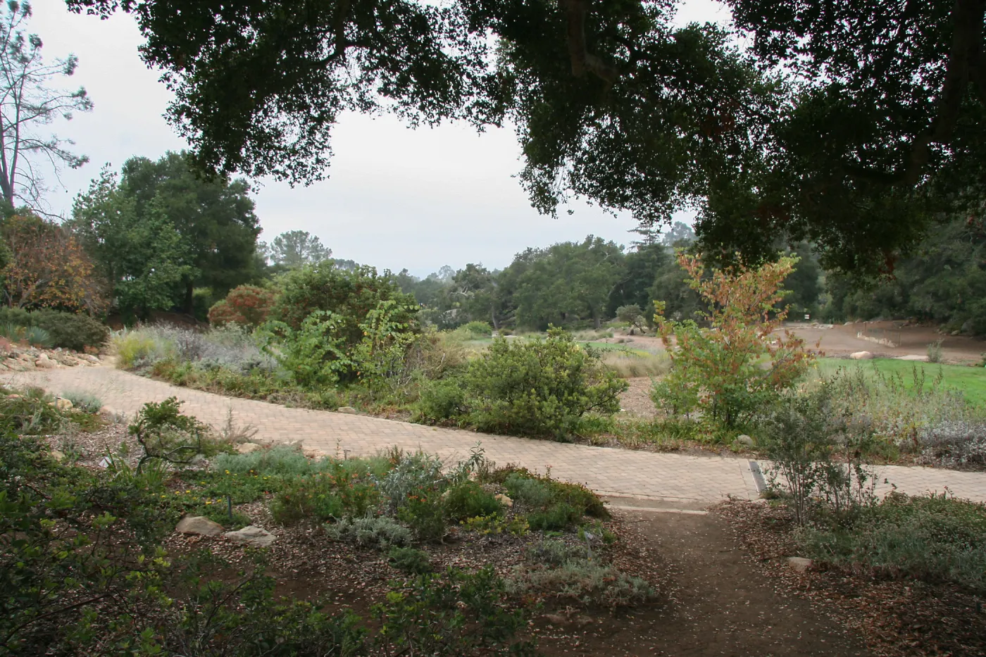 Meadow looking south from top of Meadow