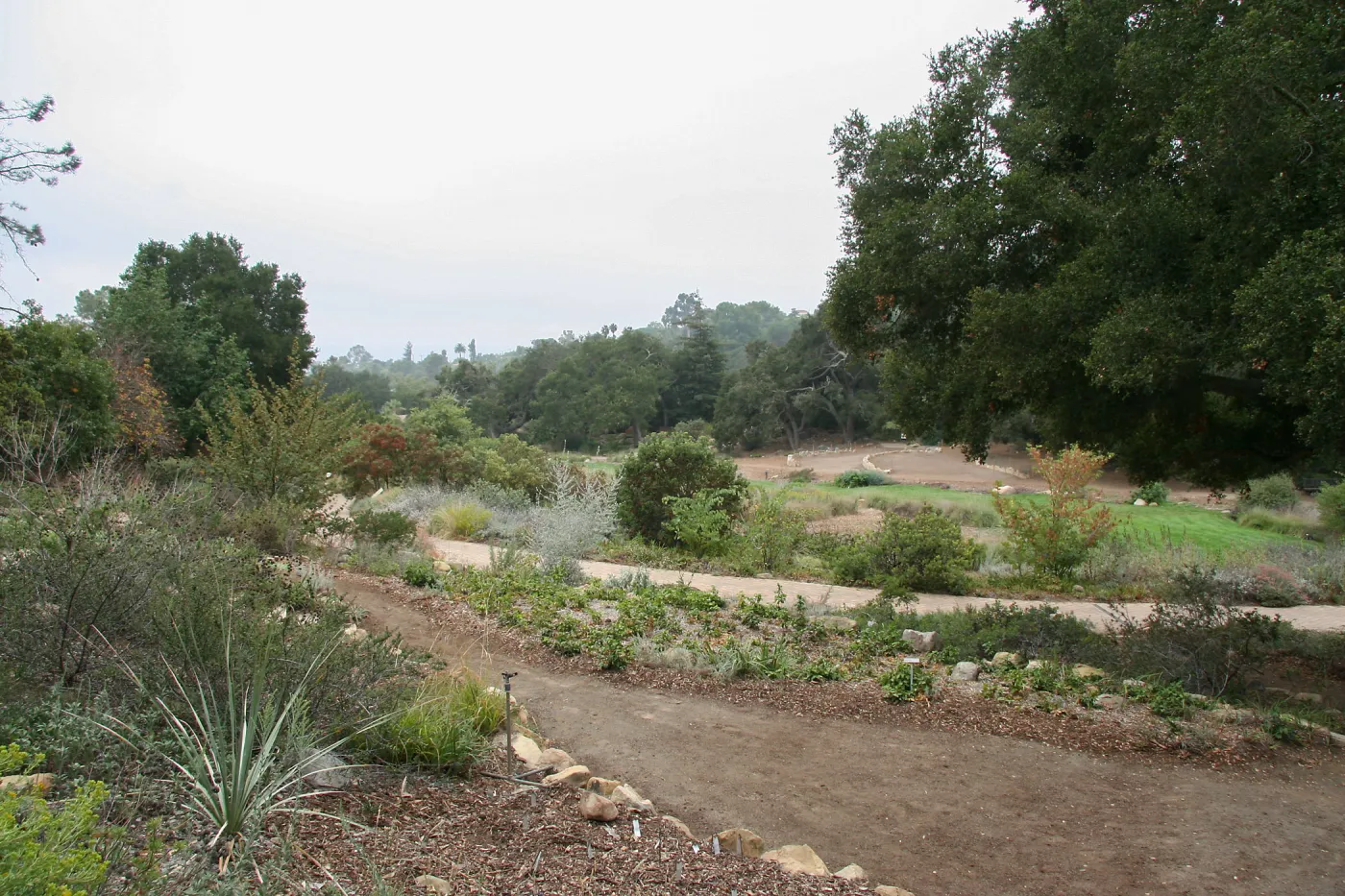 View across Meadow from Meadow View to Meadow Terrace