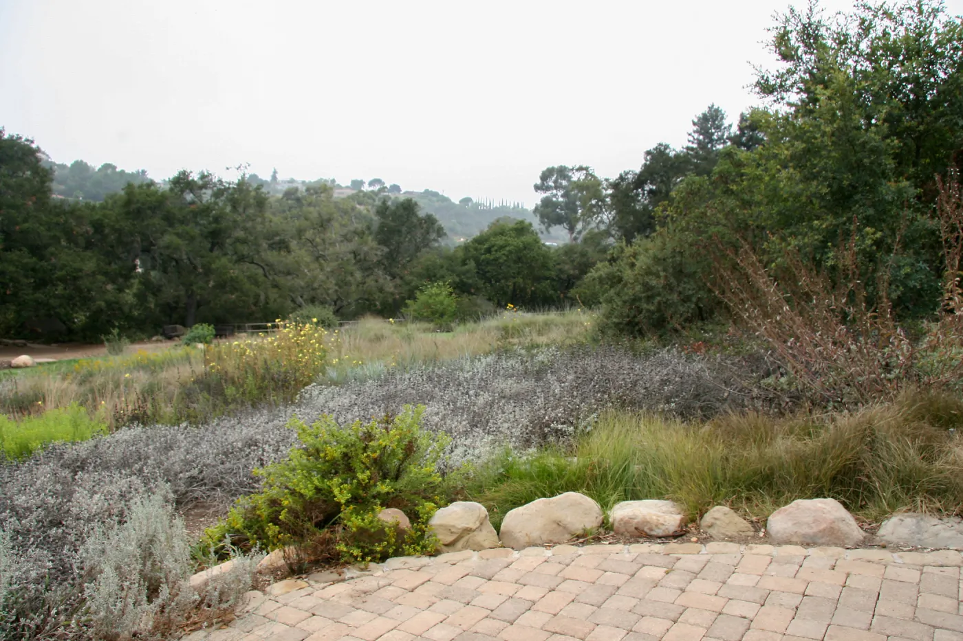 View towards northwest across top of Meadow