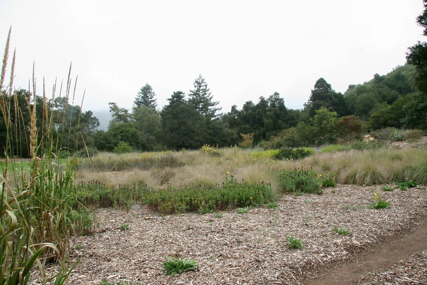 View from Holton Bench trail across Meadow towards north