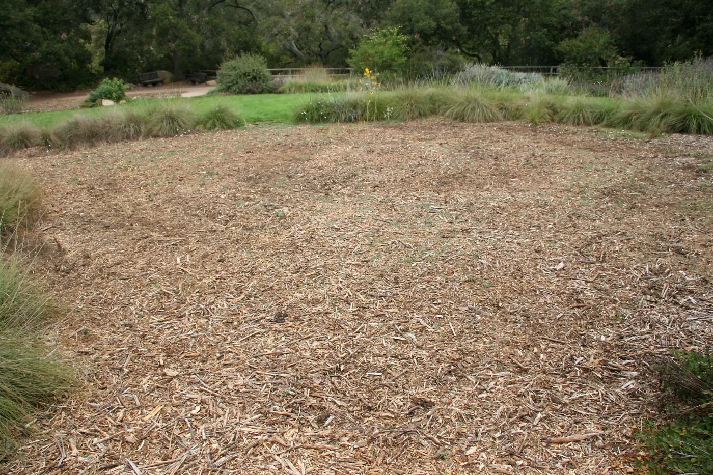 mulched area near top of Meadow