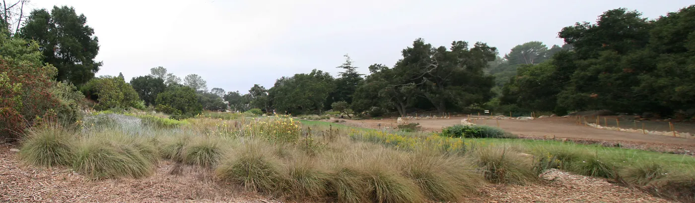 Panoramic view of Meadow from northeast side