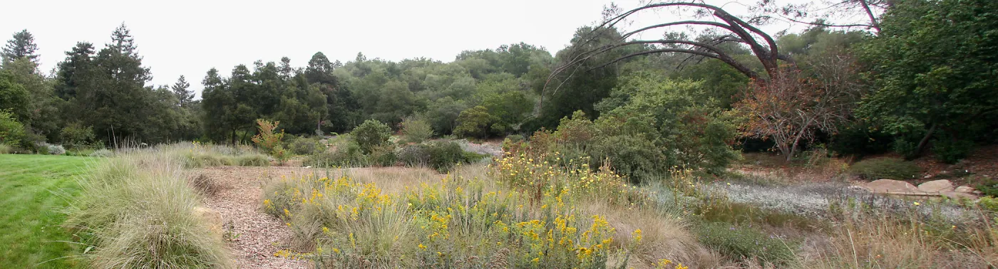 Panoramic view of top of Meadow