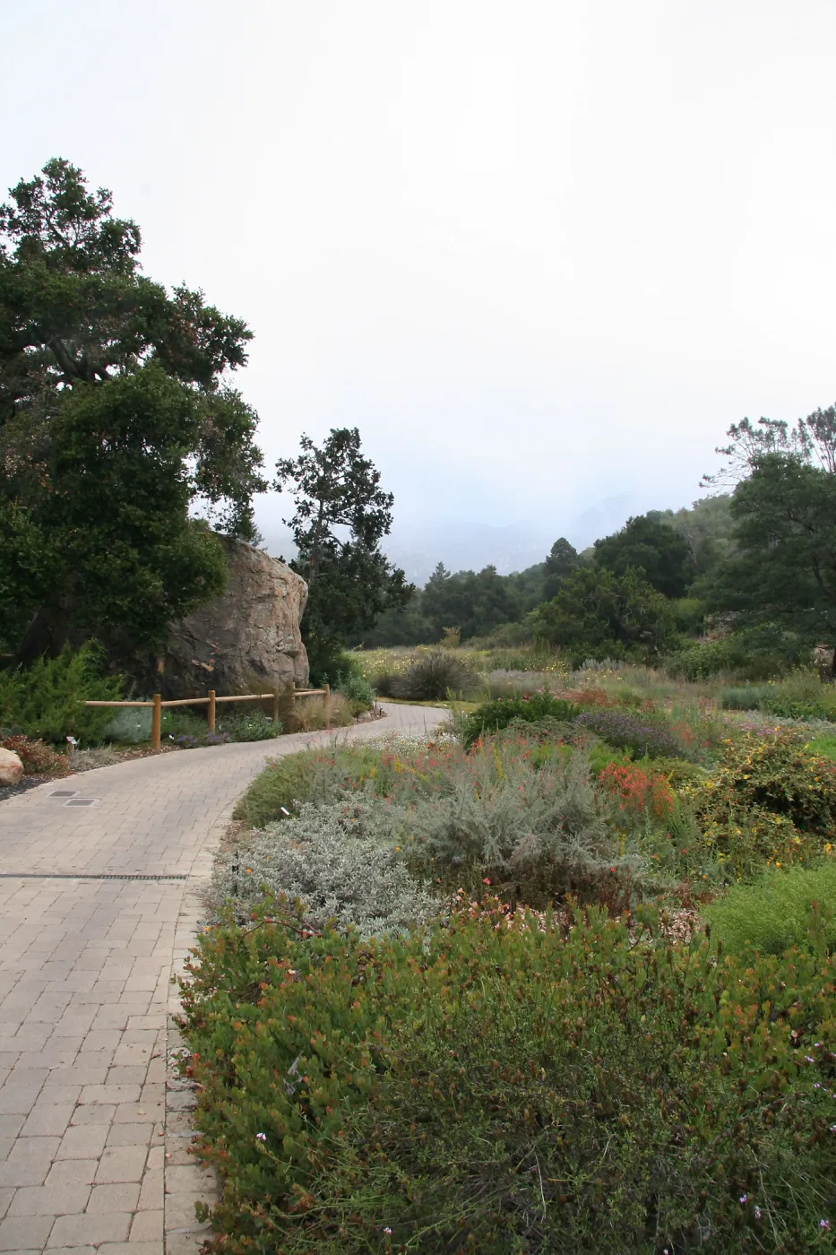 View past Blaksley Boulder towards Meadow