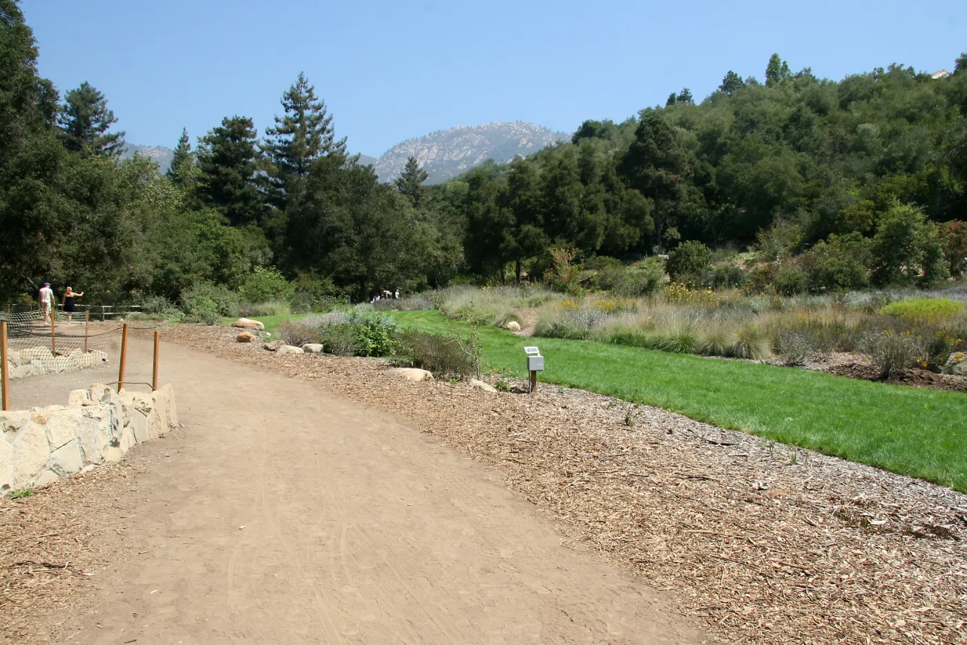 Meadow looking northeast from Meadow Terrace