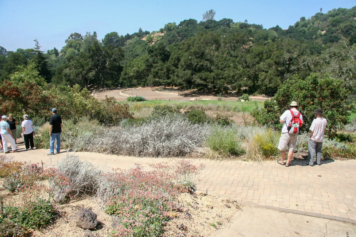 View west across Meadow to Meadow Terrace