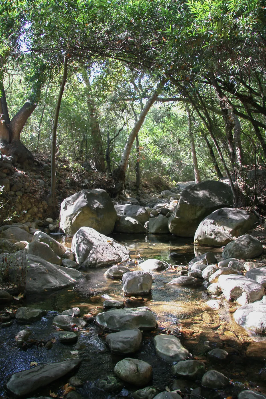Mission Creek above lower creek crossing