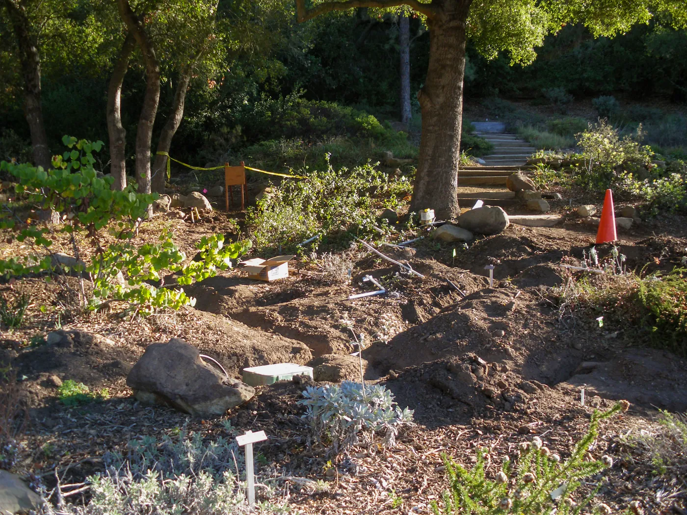 Irrigation installation in Meadow View