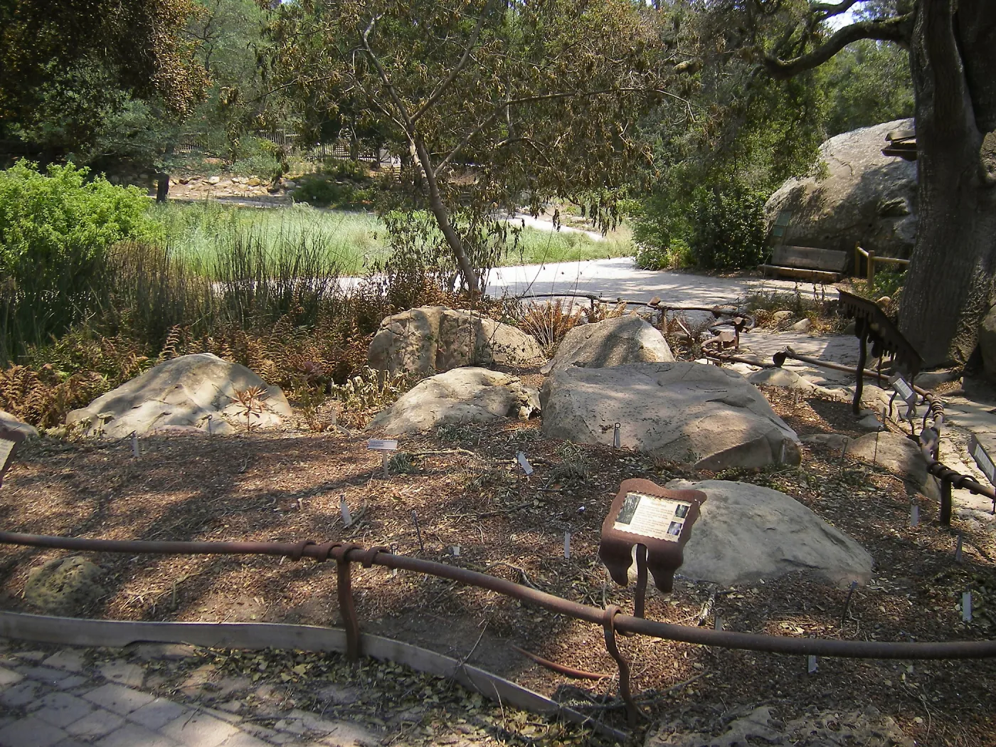 Orchid Display after Jesusita Fire