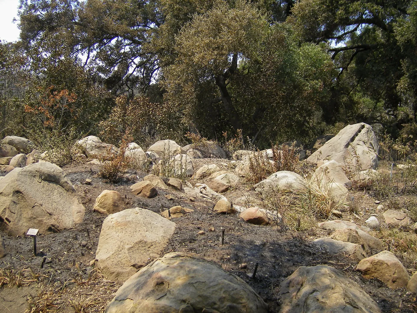 Rock Garden Display after Jesusita Fire