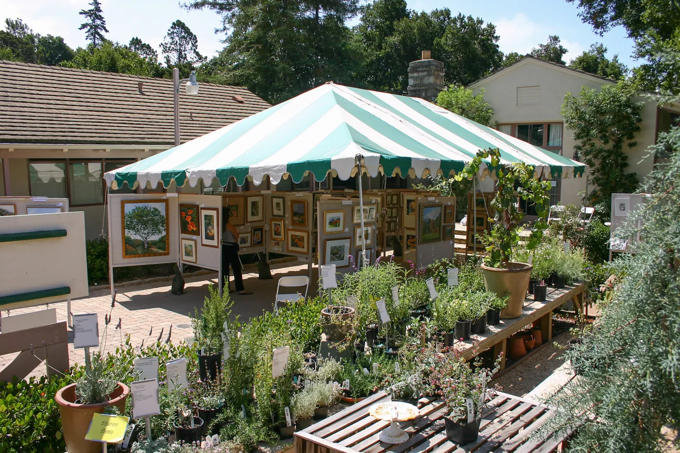 Goleta Valley Art Association Exhibit
