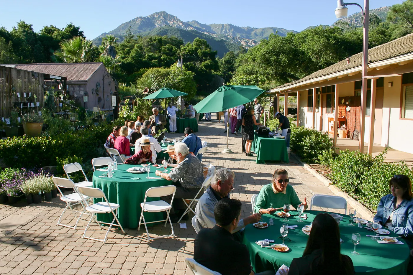 Japanese-style Summer Solstice Celebration to benefit ShinKanAn Teahouse