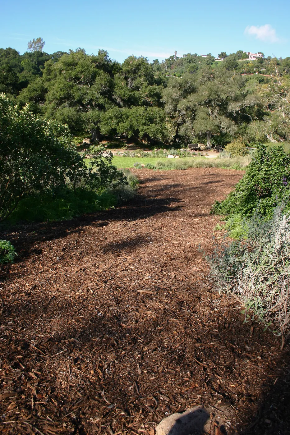Site where Toad Hall will be constructed