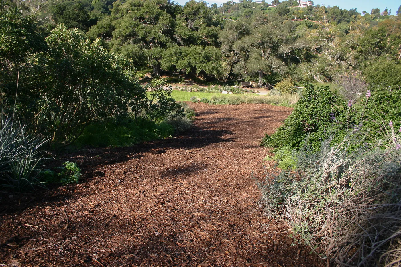 Site where Toad Hall will be constructed