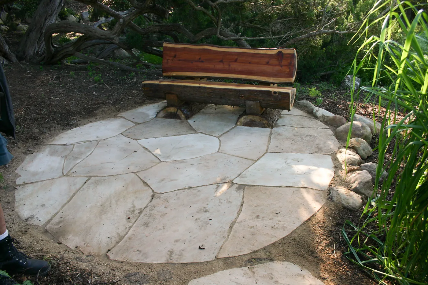 Thomas William Holton Bench