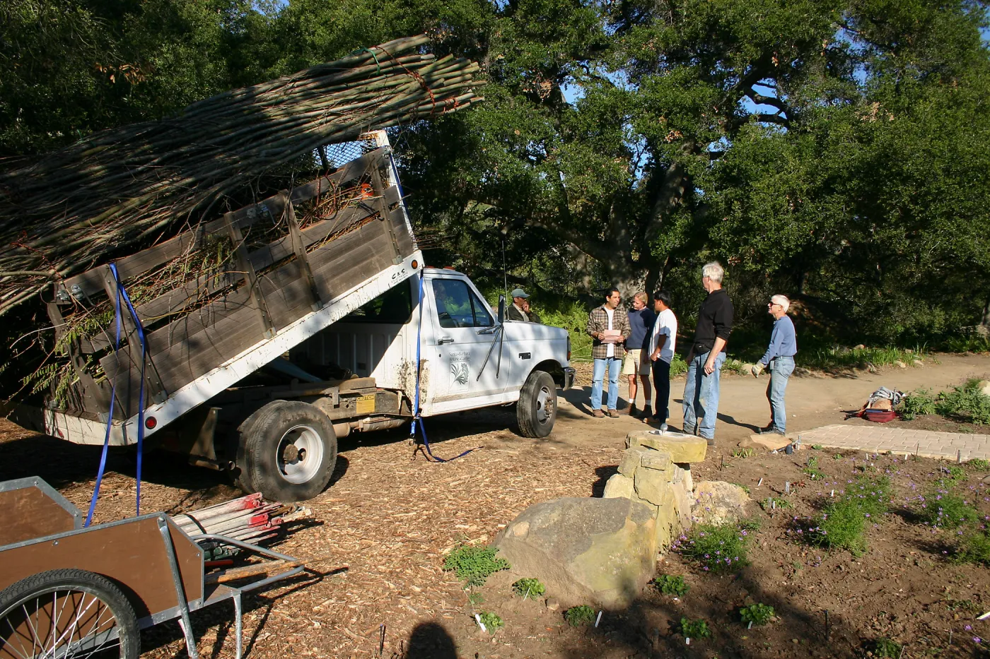 Toad Hall Construction, delivering saplings