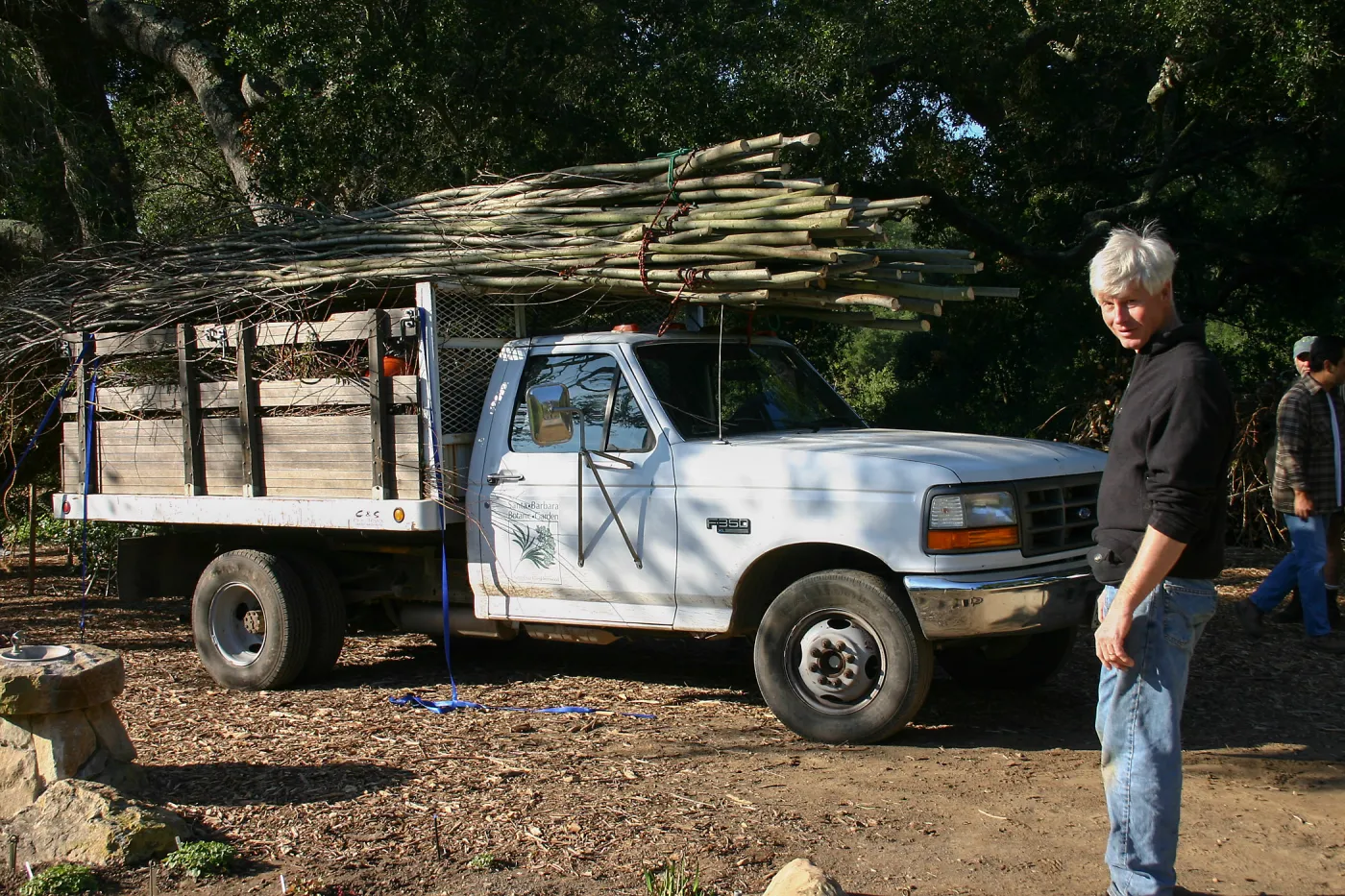 Toad Hall Construction, delivering saplings