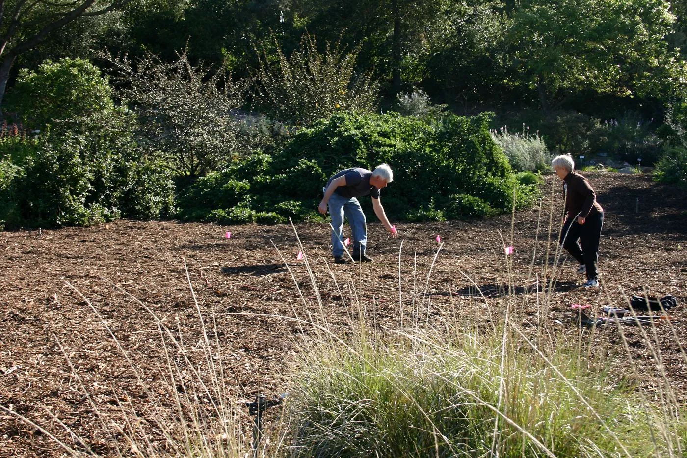 Toad Hall Construction, laying out site