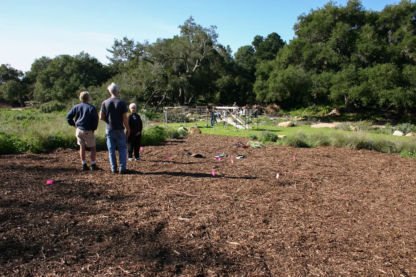 Toad Hall Construction, laying out site