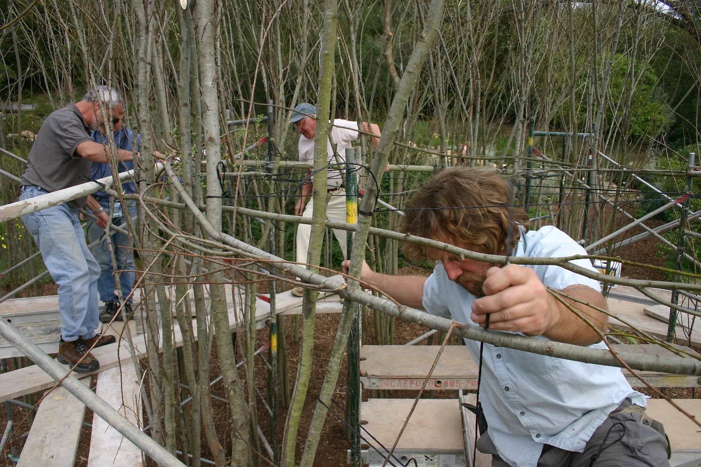 Toad Hall construction