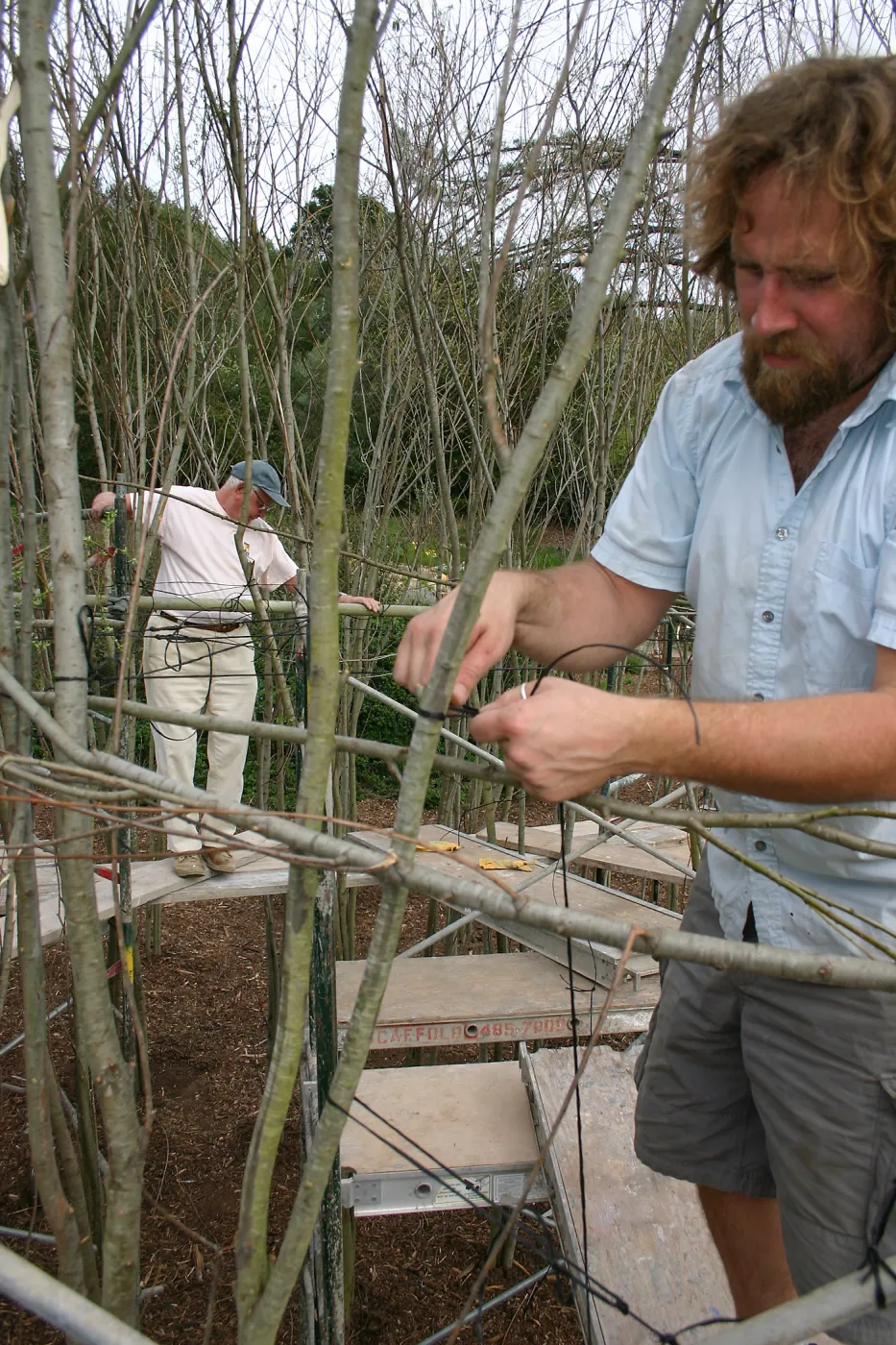 Toad Hall construction