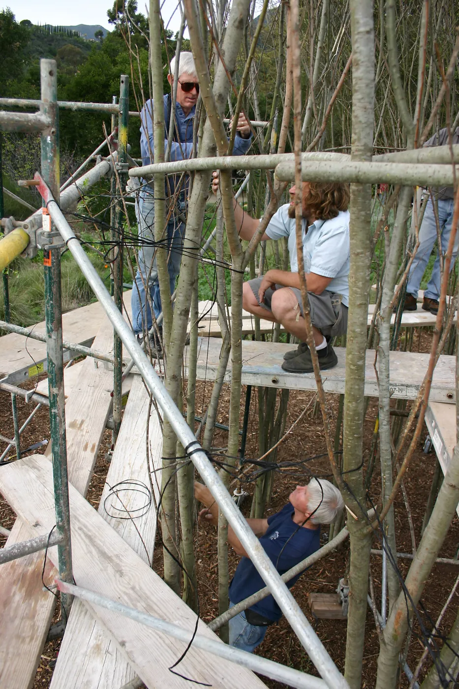 Toad Hall construction