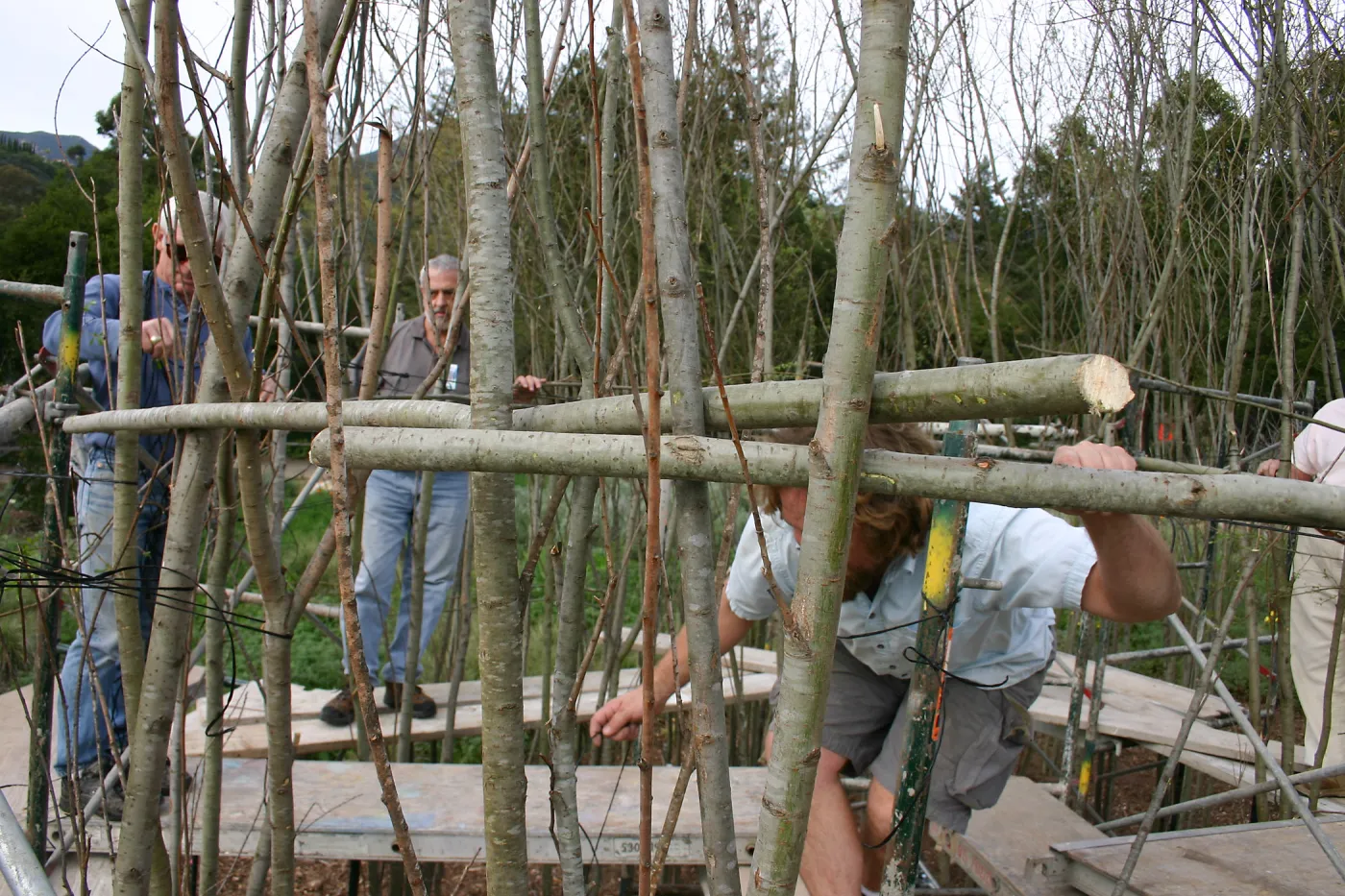 Toad Hall construction