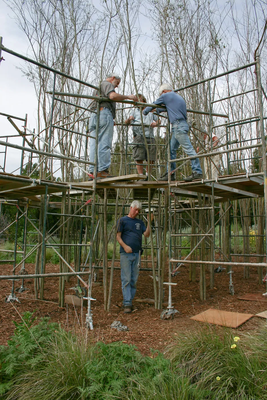 Toad Hall construction