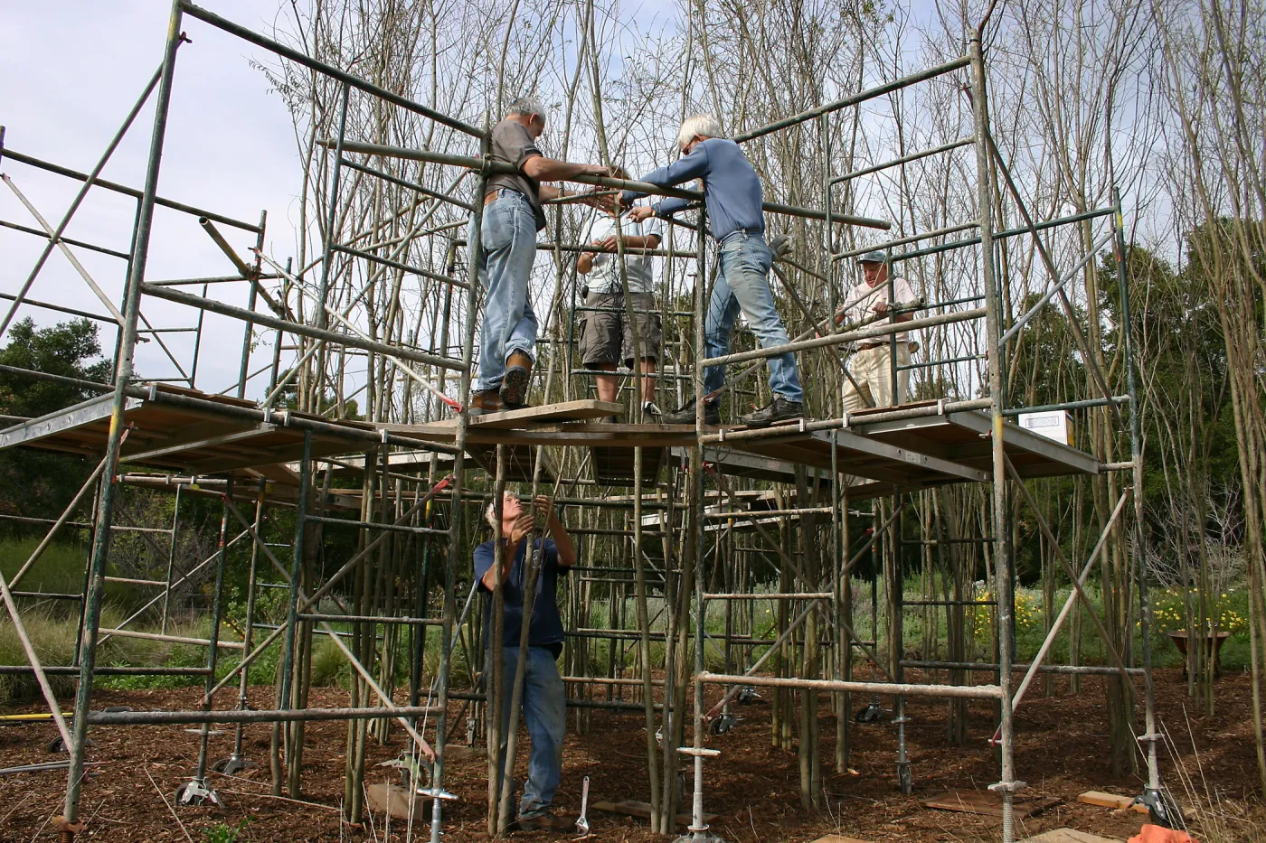 Toad Hall construction