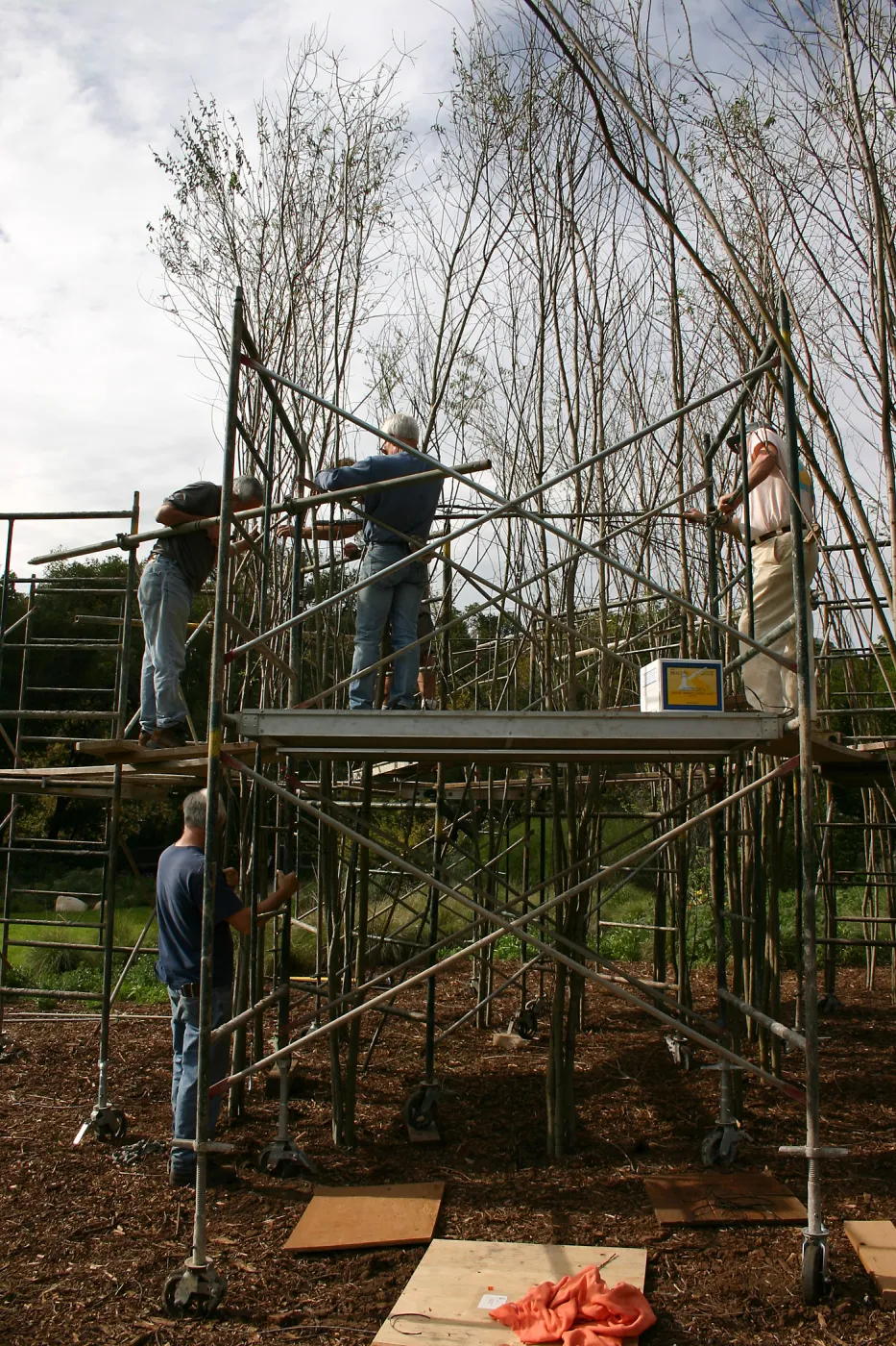 Toad Hall construction
