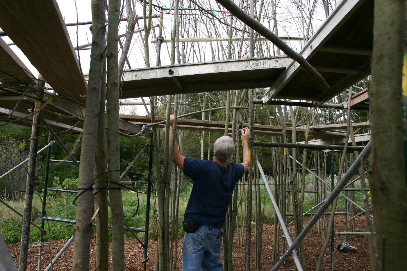 Toad Hall construction