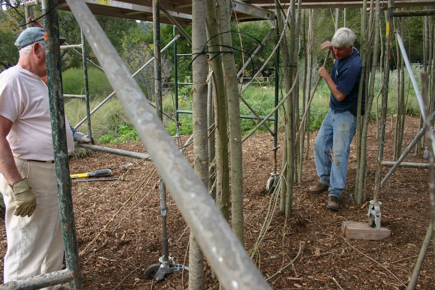 Toad Hall construction