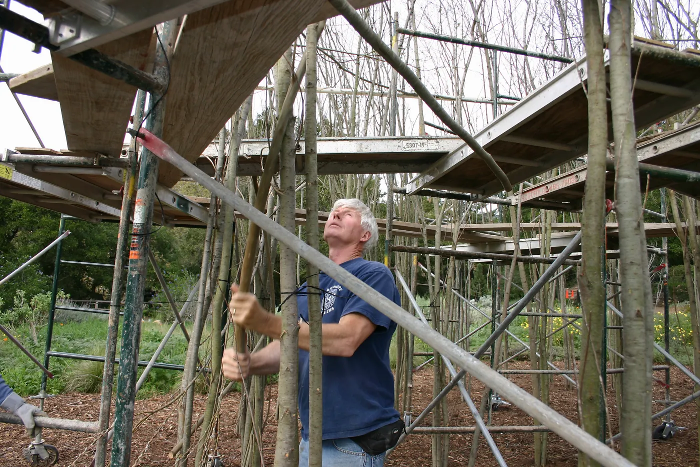 Toad Hall construction