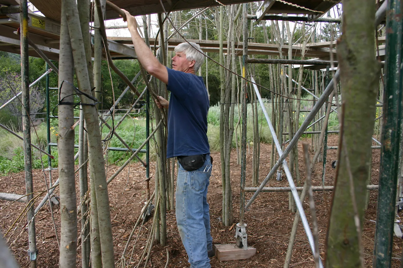 Toad Hall construction