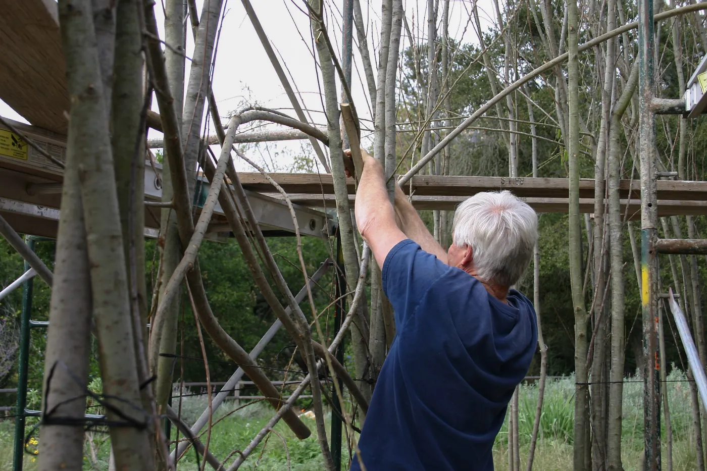 Toad Hall construction