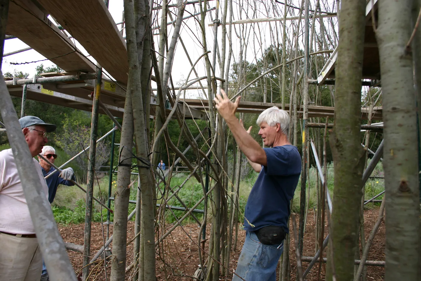 Toad Hall construction