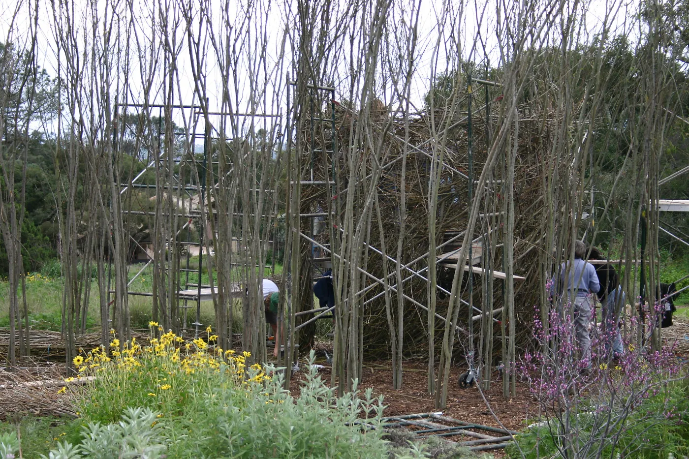 Toad Hall Construction
