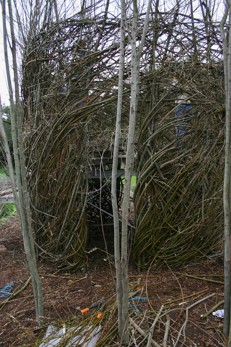 Toad Hall Construction