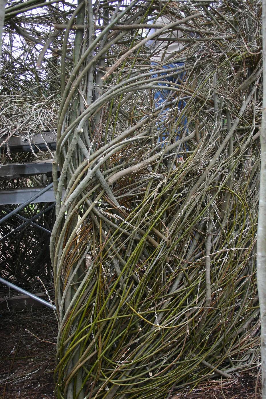 Toad Hall Construction