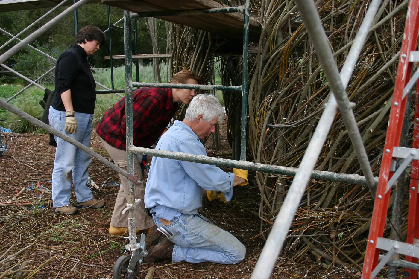 Toad Hall Construction