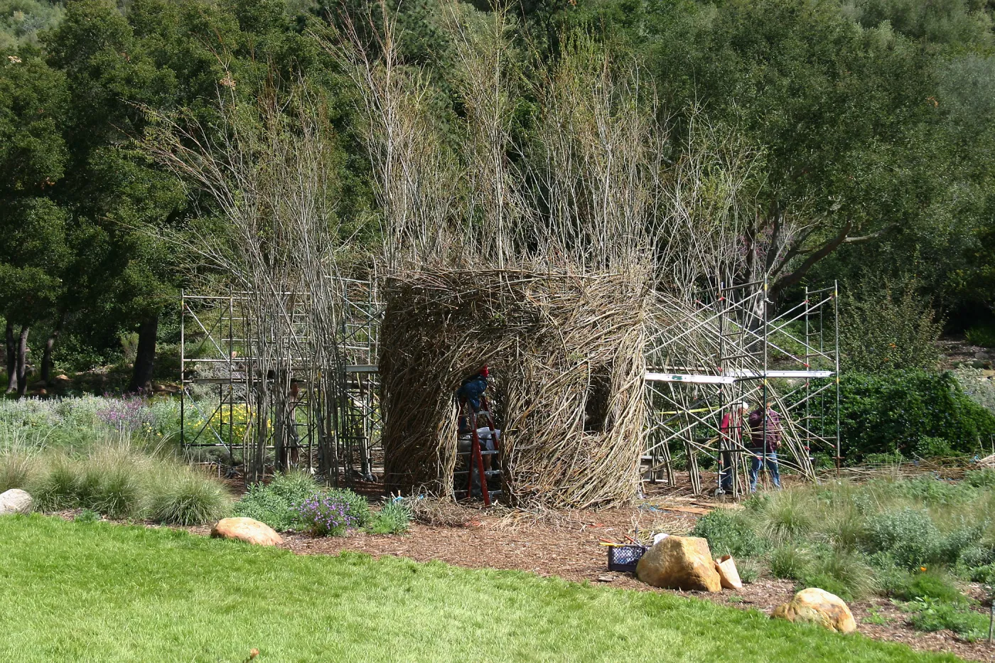 Toad Hall Construction