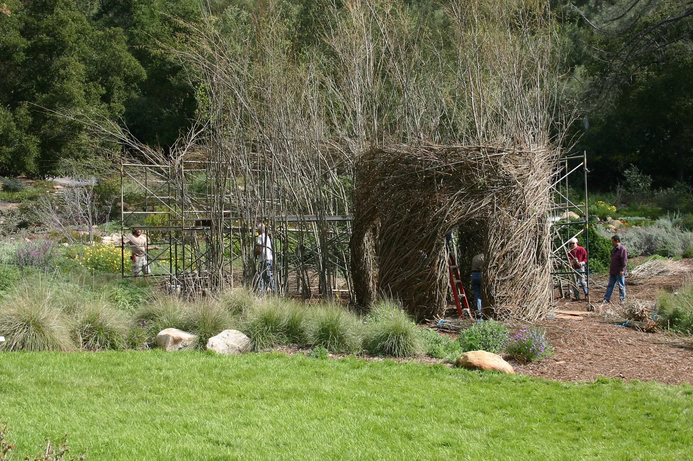 Toad Hall Construction