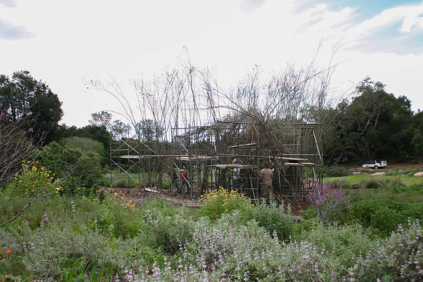 Toad Hall Construction