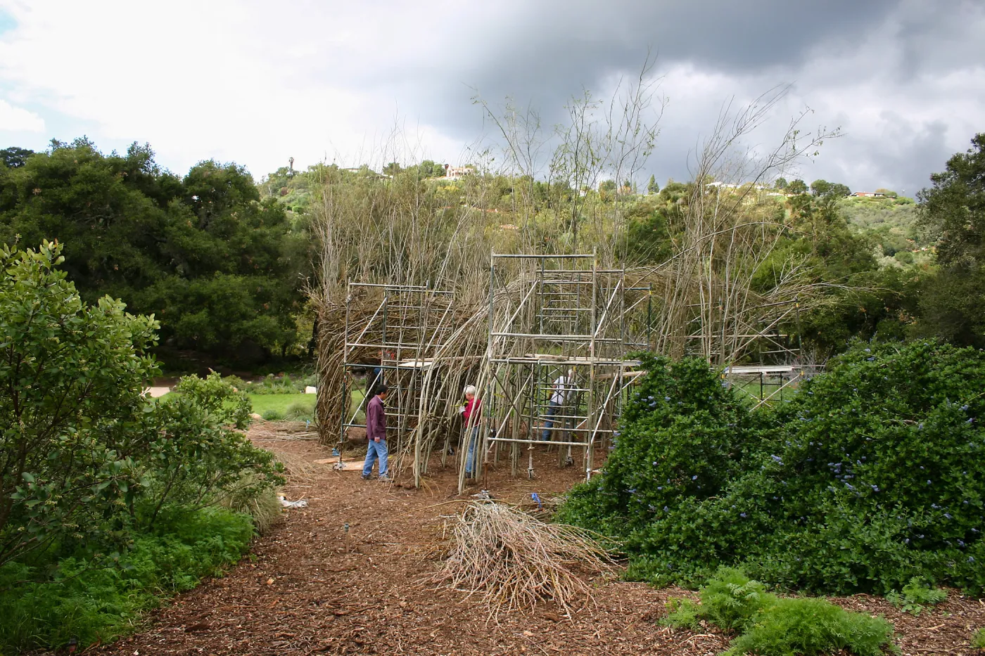 Toad Hall Construction