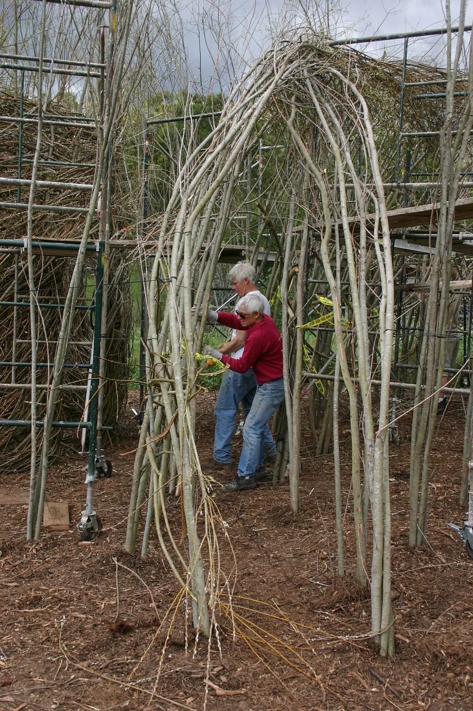 Toad Hall Construction